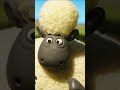 GENIE Shorts Shaunthesheep Animation Wish