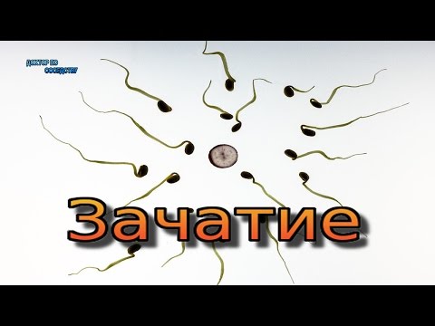 Das Verhalten der Männer, wenn sie Prostatitis Prostatamassage Kosten in Ekaterinburg