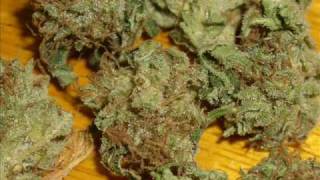 preview picture of video 'STICKY FROSTY DANK NUGS'