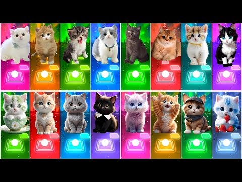ALL CUTE CATS  - IMAGINE DRAGONS - PAYPHONE - CUPID - FADED - TILES HOP