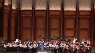 LVYO 2016 Spring Concert Ensemble "The Avengers, Alan Silvestri "