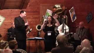 What a little moonlight can do - Jeff and Joel's House Party #5, October, 2014