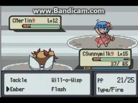 Touhoumon Another World Walkthrough Part 11