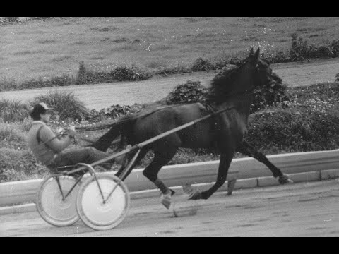 Gabriele Del Castillo - Nonno vagabondo