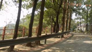 preview picture of video '樟木頭觀音山森林公園遊園車 五菱  Guanyinshan Forest Park Sightseeing Bus'