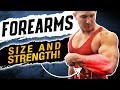 FULL FOREARMS ROUTINE! MORE GROWTH IN LESS TIME! (PLATEAU BREAKER)
