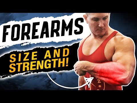 Muscular Strenght Title