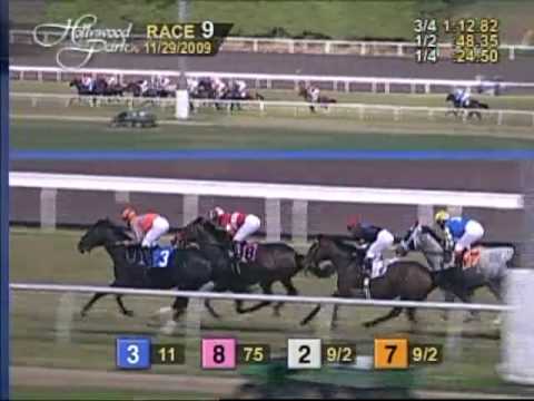 Hollywood Derby (GI) - November 29, 2009