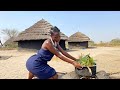 PENZI LA MREMBO WA KIJIJI Episode 2
