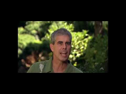 Red Bull Cliff Diving - Lana'i, Hawai'i