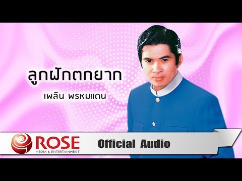 ลูกฟักตกยาก - เพลิน พรหมแดน (Official Audio)