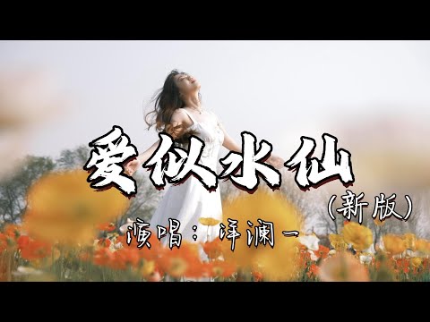 洋澜一 - 爱似水仙(新版)『盛开在冬天的水仙，你是否闻得到我的娇艳，如果你看穿我的思念，我就不会为你哭红双眼。』『动态歌词MV』