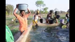 preview picture of video 'Rennen voor water voor je moestuin in Somita, Dawda stichting Gambia'