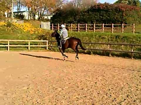 Uzario saut vertrical