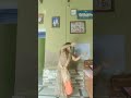 Marjani Jhanjhar Bol Padi Song Music Hindisong