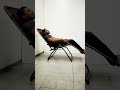 Relax Recliner Folding  Chair
