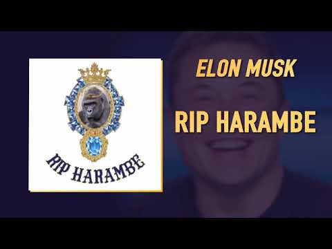 Elon Musk - RIP Harambe (Full Song)
