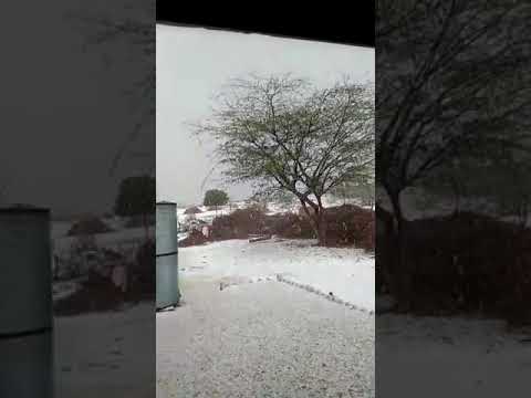 ओलावृष्टि विजयनगर जिला श्री गंगानगर राजस्थान 07.02.2019