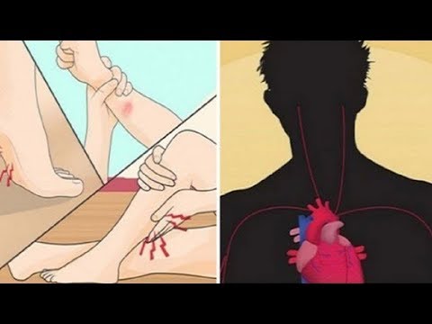 Die Entzündung der Prostata Forum entfernen Ob behandelt Prostata-Massage