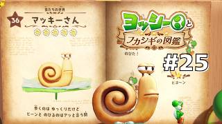マッキーさんを徹底調査！#25 【ヨッシーとフカシギの図鑑】