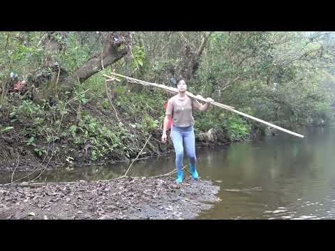 Outdoor Adventure, Solo Bushcraft, Camping, Building Survival Shelters, Fishing on River | Free Life