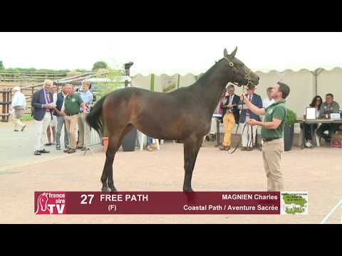 Concours Cercy 2017 - Lot 27 - Free Path