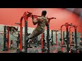 L SHAPE PULL UP BICEP CURL #damianbaileyfitness #advancepullups #pullup