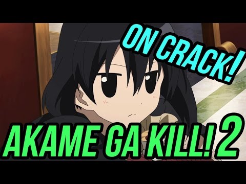 AKAME GA KILL! ON CRACK 2