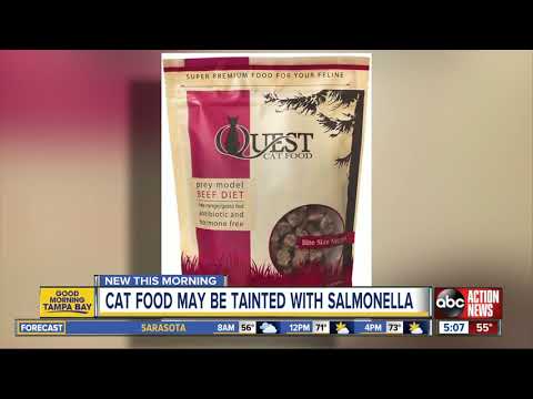 Cat food sold nationwide recalled over salmonella concern
