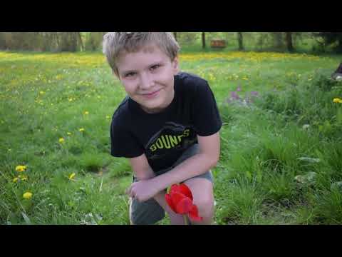 Dáma s hranostajem - Akordů pár