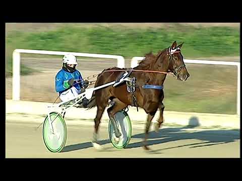 Napoli Trotto 12/12/2021 - 4ª corsa