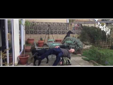 ZWARA - WÖ WIR feat.ANSA,DREIA (Die Vamummtn)