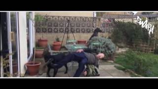 ZWARA - WÖ WIR feat.ANSA,DREIA (Die Vamummtn)