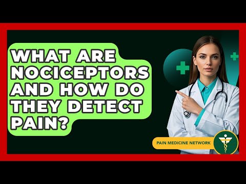 What Are Nociceptors And How Do They Detect Pain? - Pain Medicine Network
