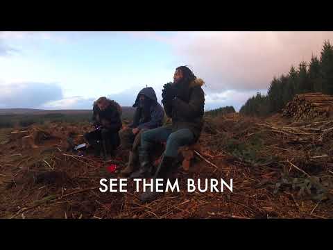 Alpha Steppa & Nai-Jah - Amazon (ft. Ras Tinny) #streetdub E17