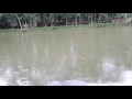 Big Pond Of Barisal Location GOURNADI UPJAGA