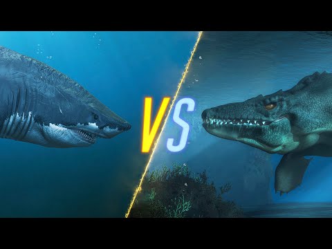Megalodon VS Mosasaurus