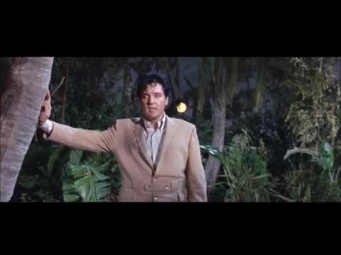 The Girl I Never Loved video