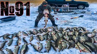 Зимняя рыбалка в казахстане на щуку