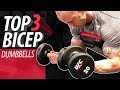 TOP 3 Bicep Exercises - Using Dumbbells And A Bench