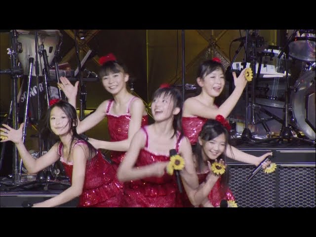 2012年、武道館ライブでの「ヒマワリと星屑」
