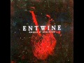 Entwine - Time Of Despair [2010 Version] 