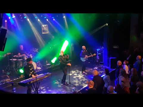 Night Fever die BEE GEES Show 3