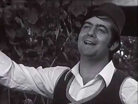 Станиша Стошић - Што ми је мерак, пољак да биднем