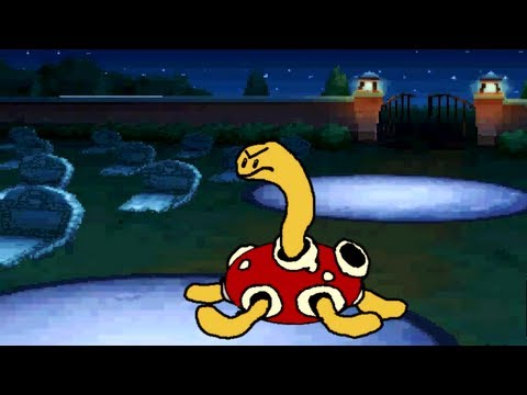★~AVERAGE SHUCKLE SWEEP~★