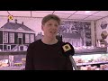 Boerenkaas uit Erp is niet aan te slepen bij AH supermarkten