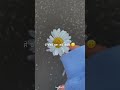 Rutba ️ Satinder Sartaj Romantic Whatsapp Status Shorts Video Trending Status Shorts