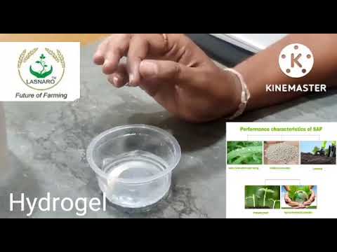 Super Absorbent Polymer Powder(Hydro gel