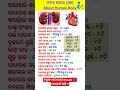 ମାନବ ଶରୀର ବିଷୟରେ କିଛି ତଥ୍ୟ || About Human Body #shorts #odia #odisha #humanbody #human