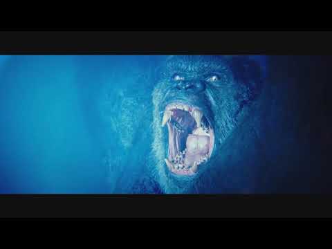 YOUSEEBIGGIRL/T:T -But Goes with GODZILLA VS KONG